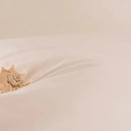 Drio La Rena 아파트